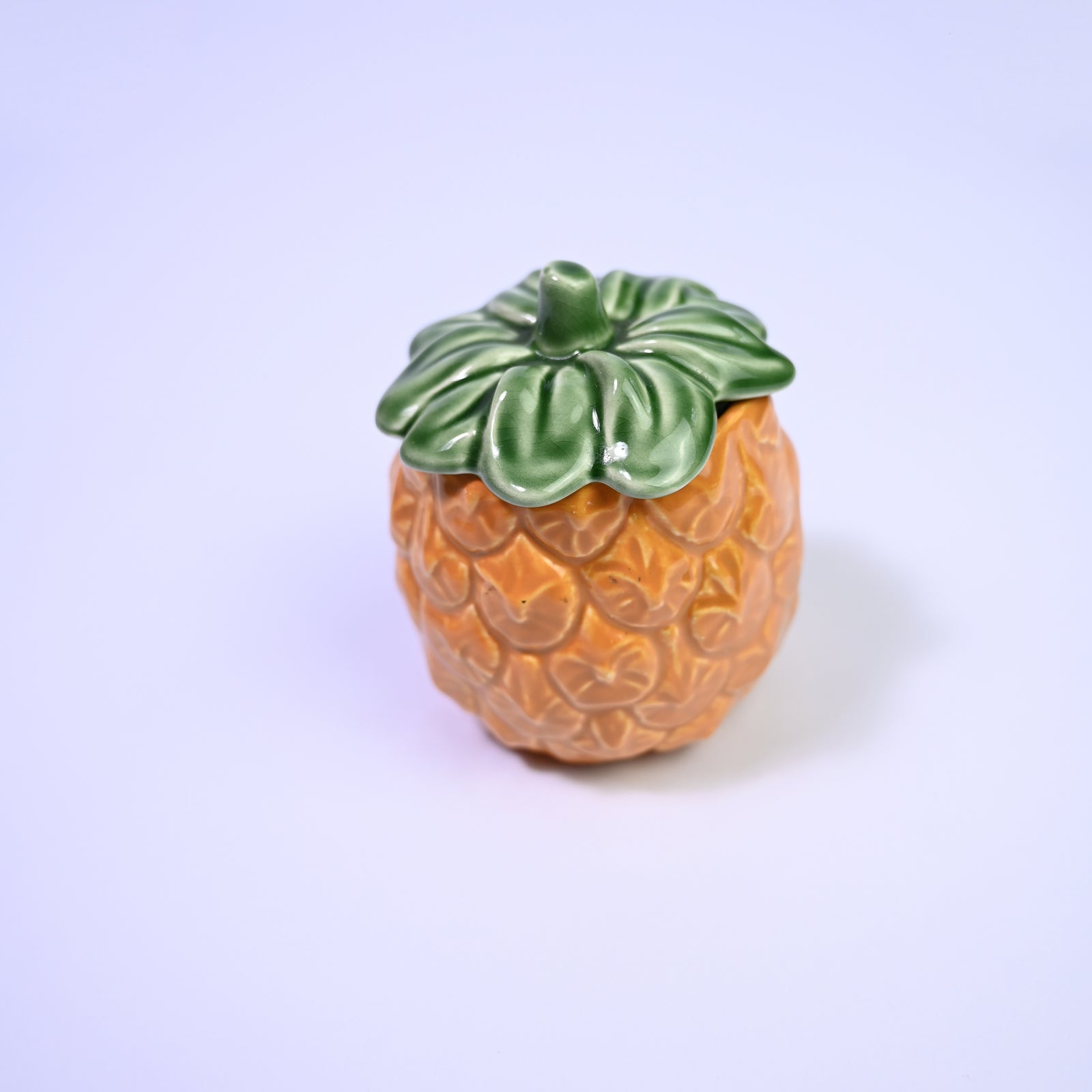 Quirky Pineapple Pot