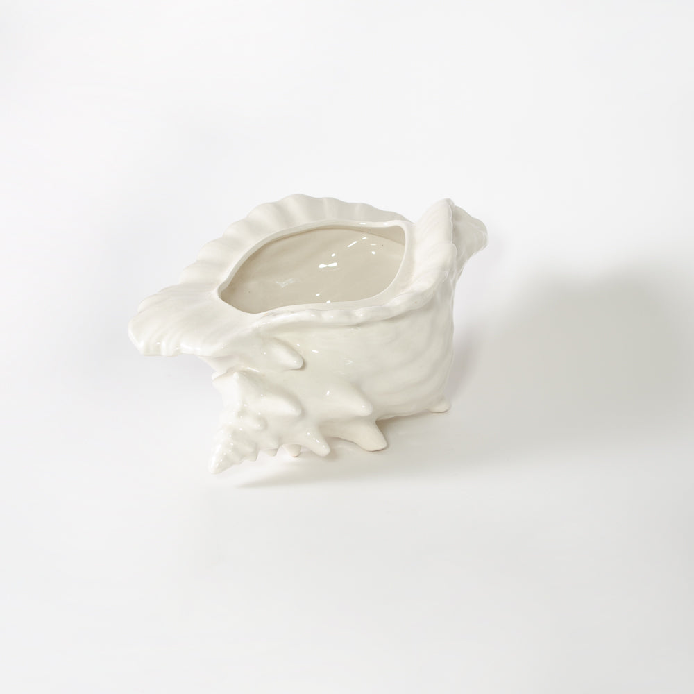Elegant Shell Vase