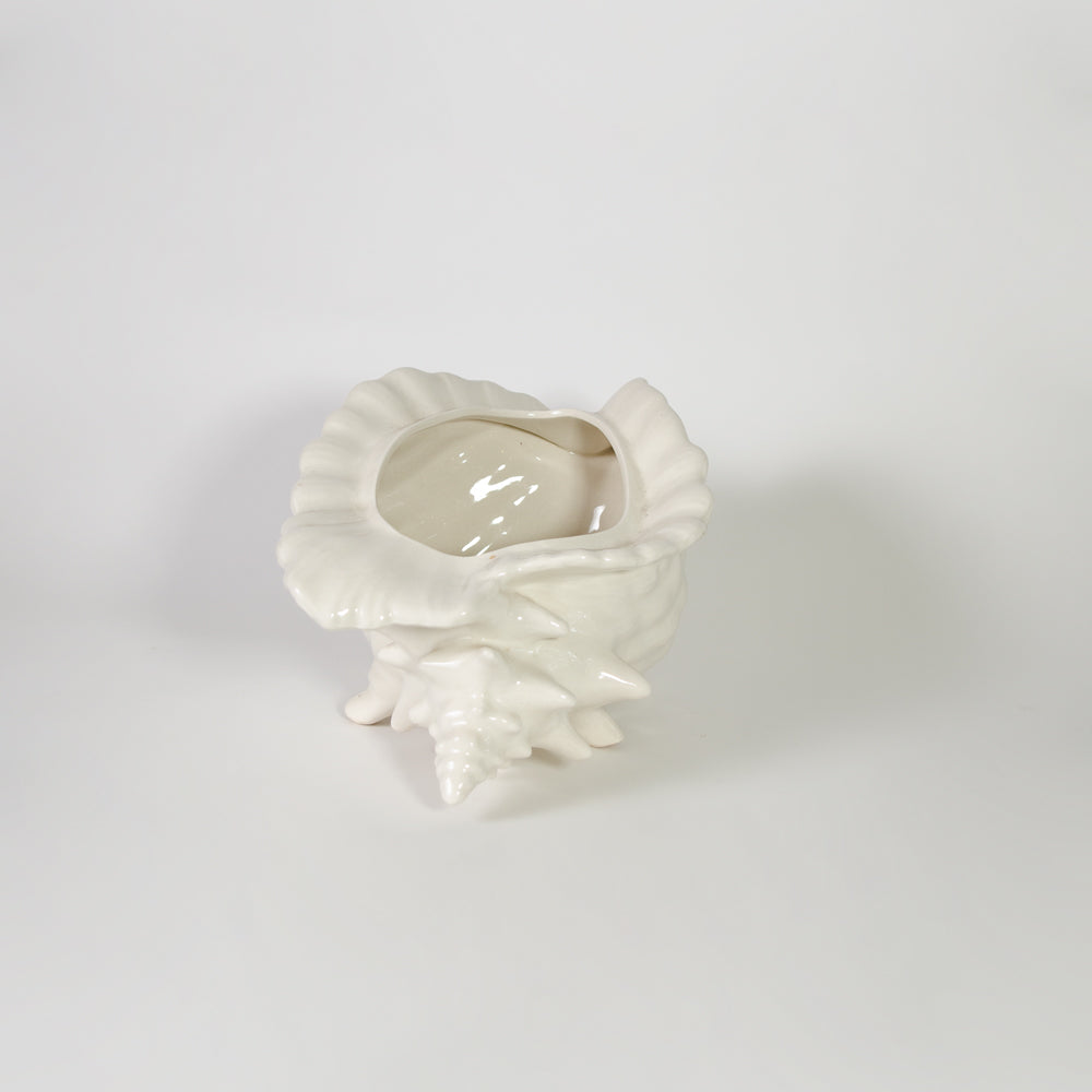 Elegant Shell Vase