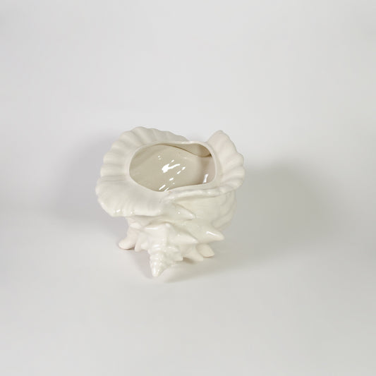 Elegant Shell Vase