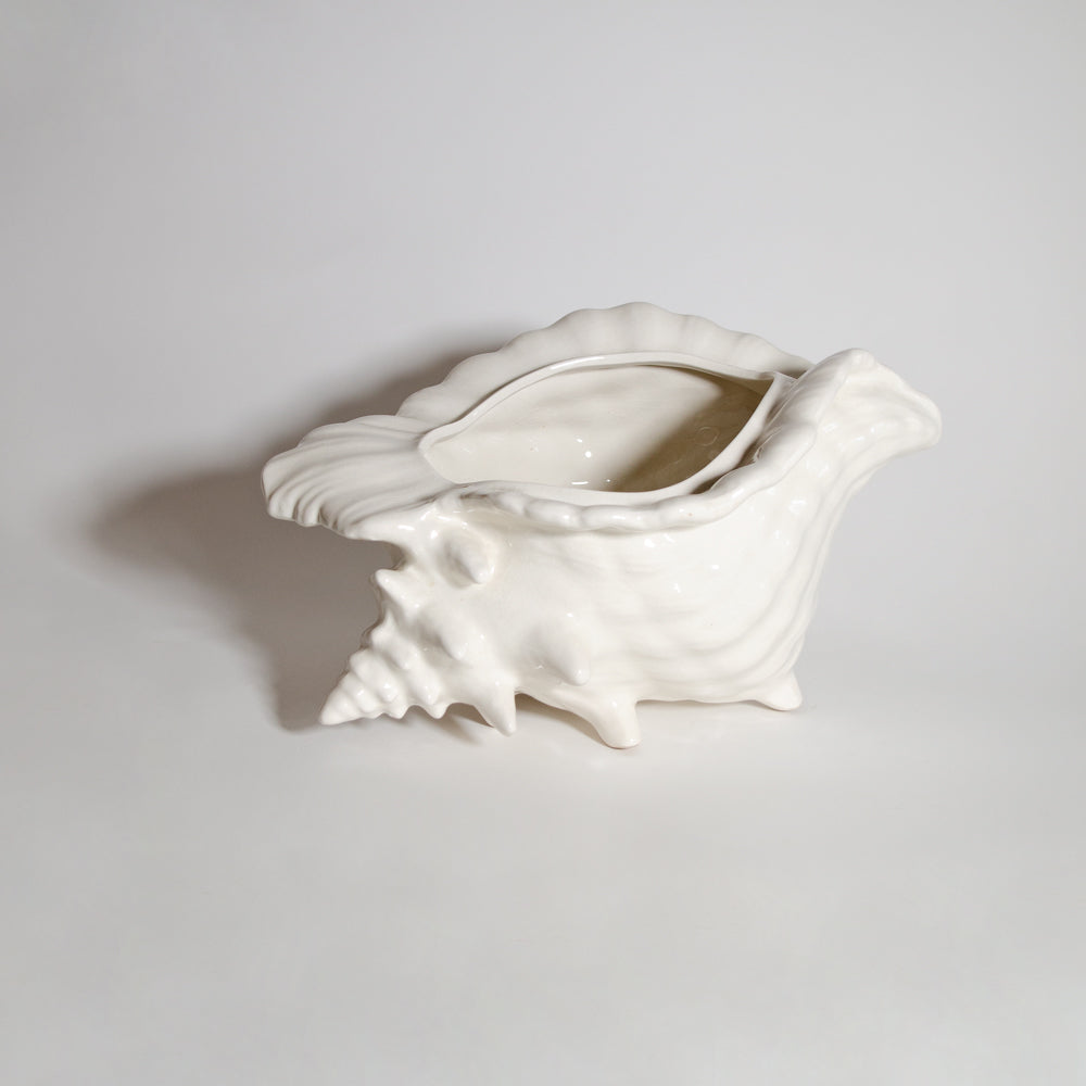 Elegant Shell Vase