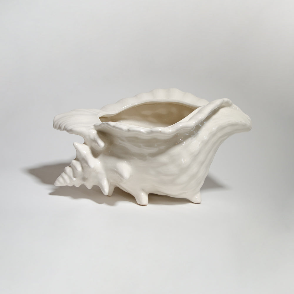 Elegant Shell Vase