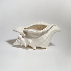 Elegant Shell Vase