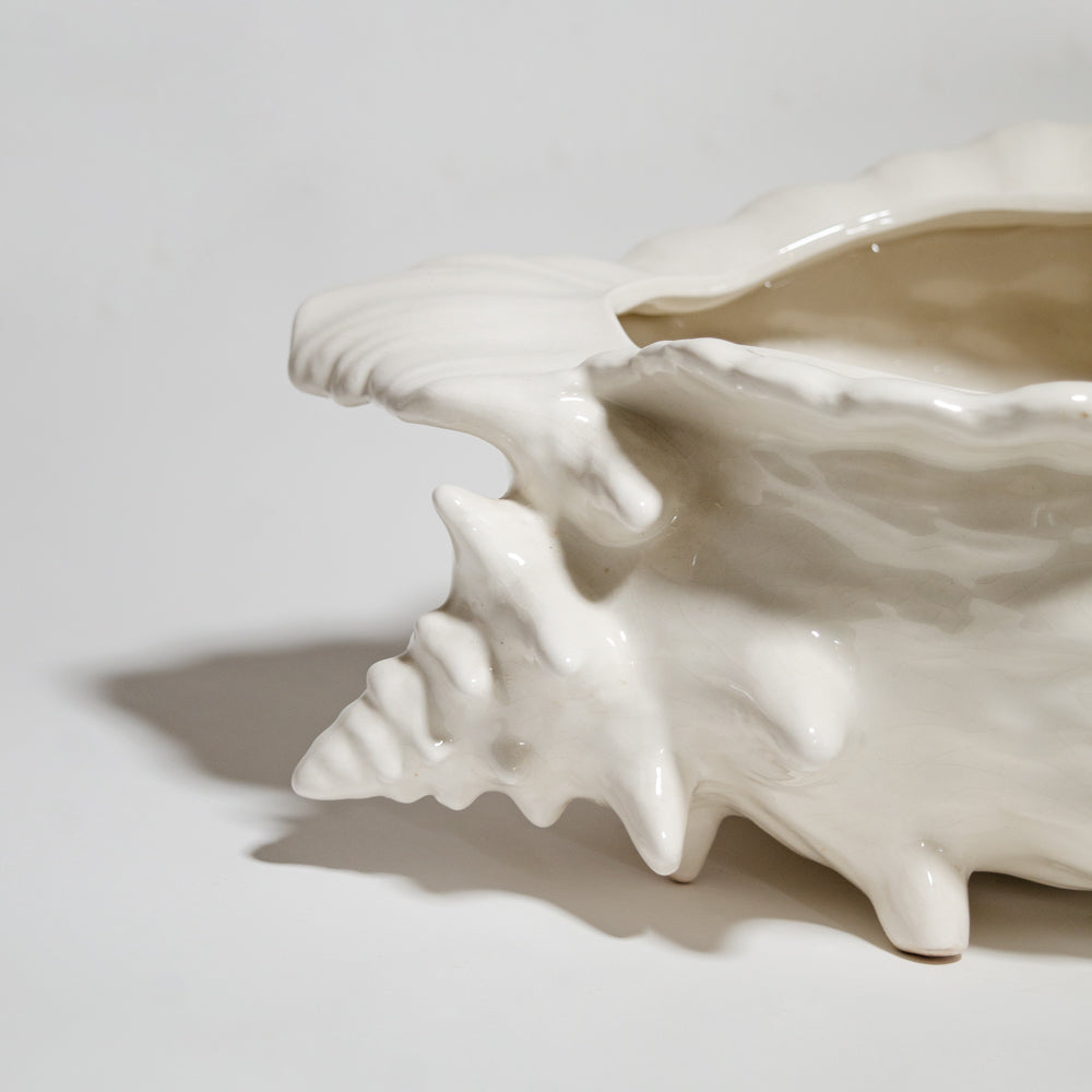 Elegant Shell Vase