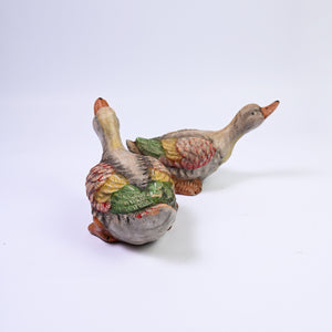 Pair of Ceramic Ducks