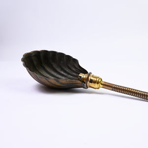Shell Wall Lamp