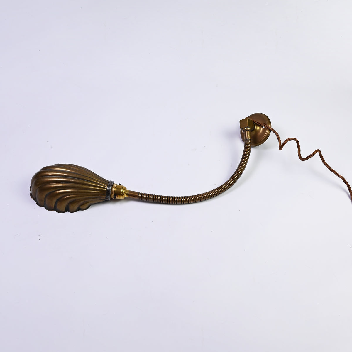Shell Wall Lamp
