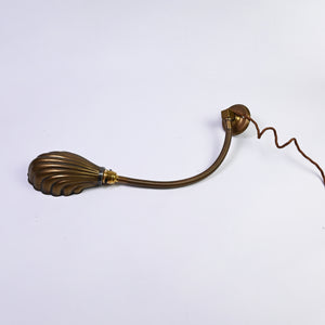 Shell Wall Lamp