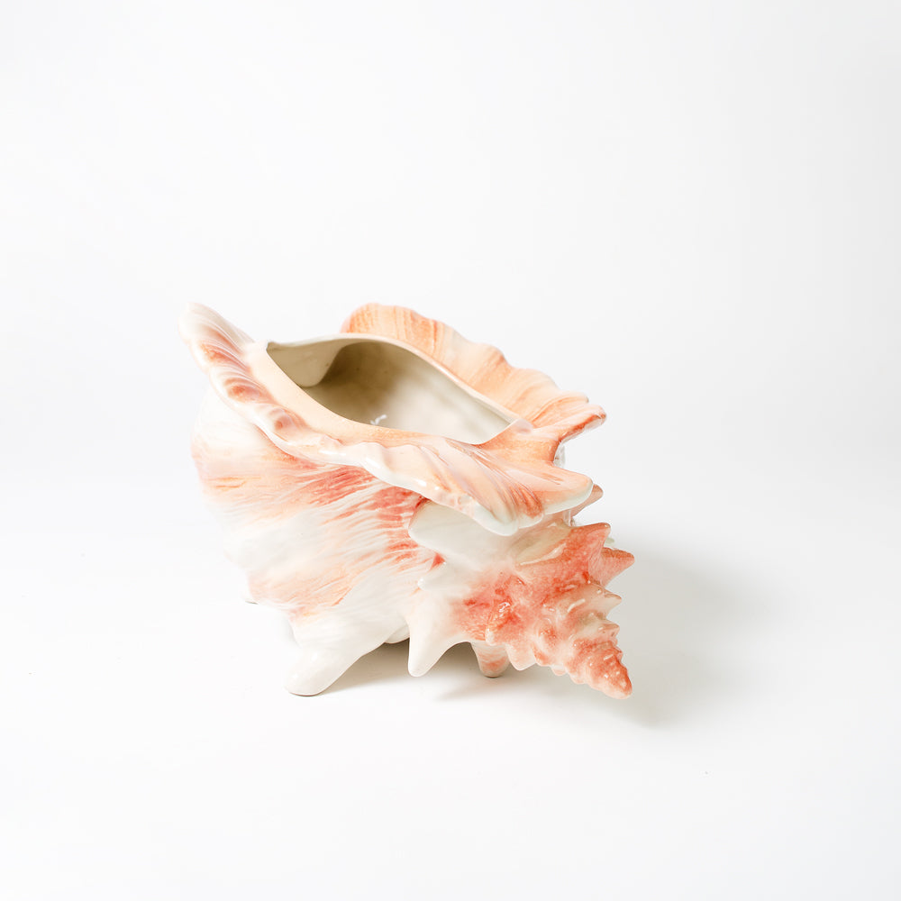 Large Vintage Conch Shell Planter