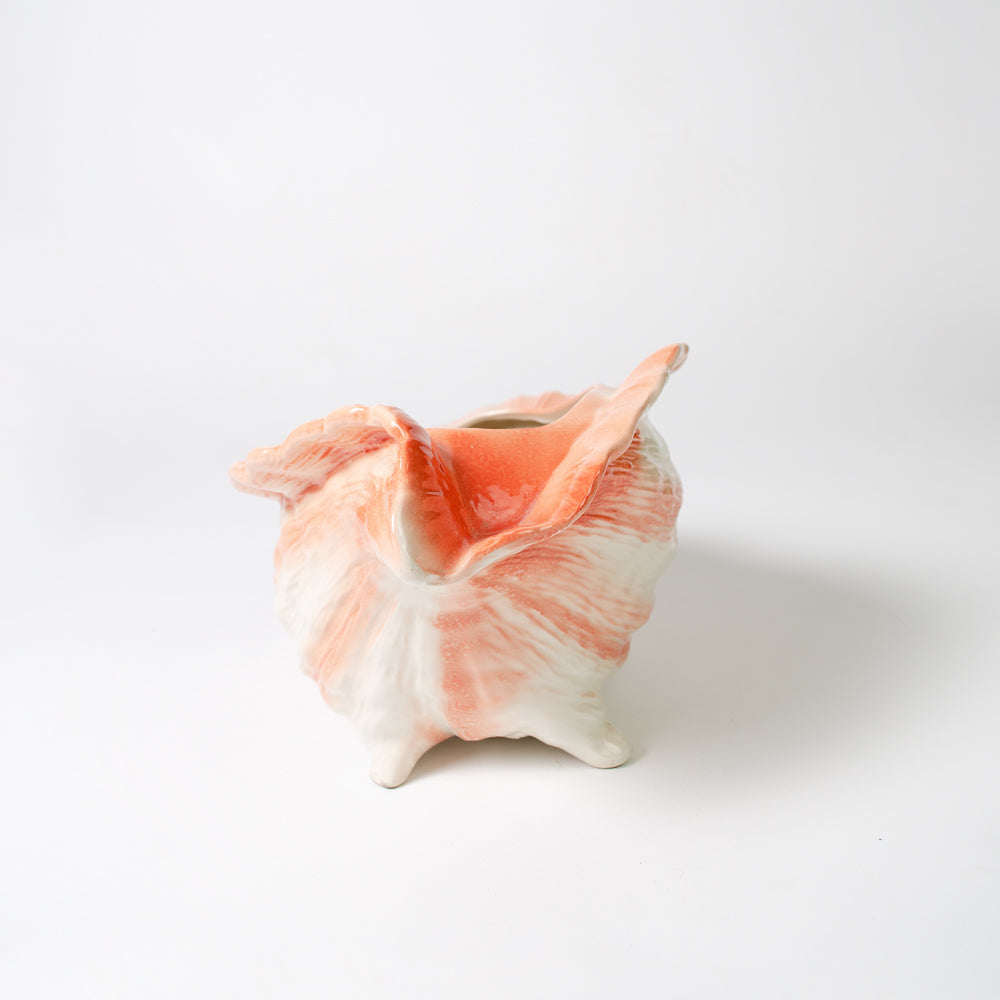 Large Vintage Conch Shell Planter