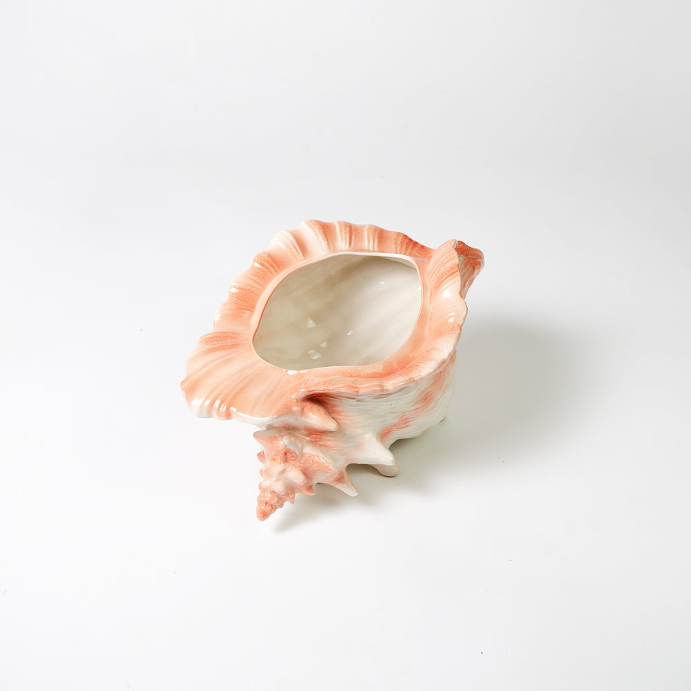 Large Vintage Conch Shell Planter