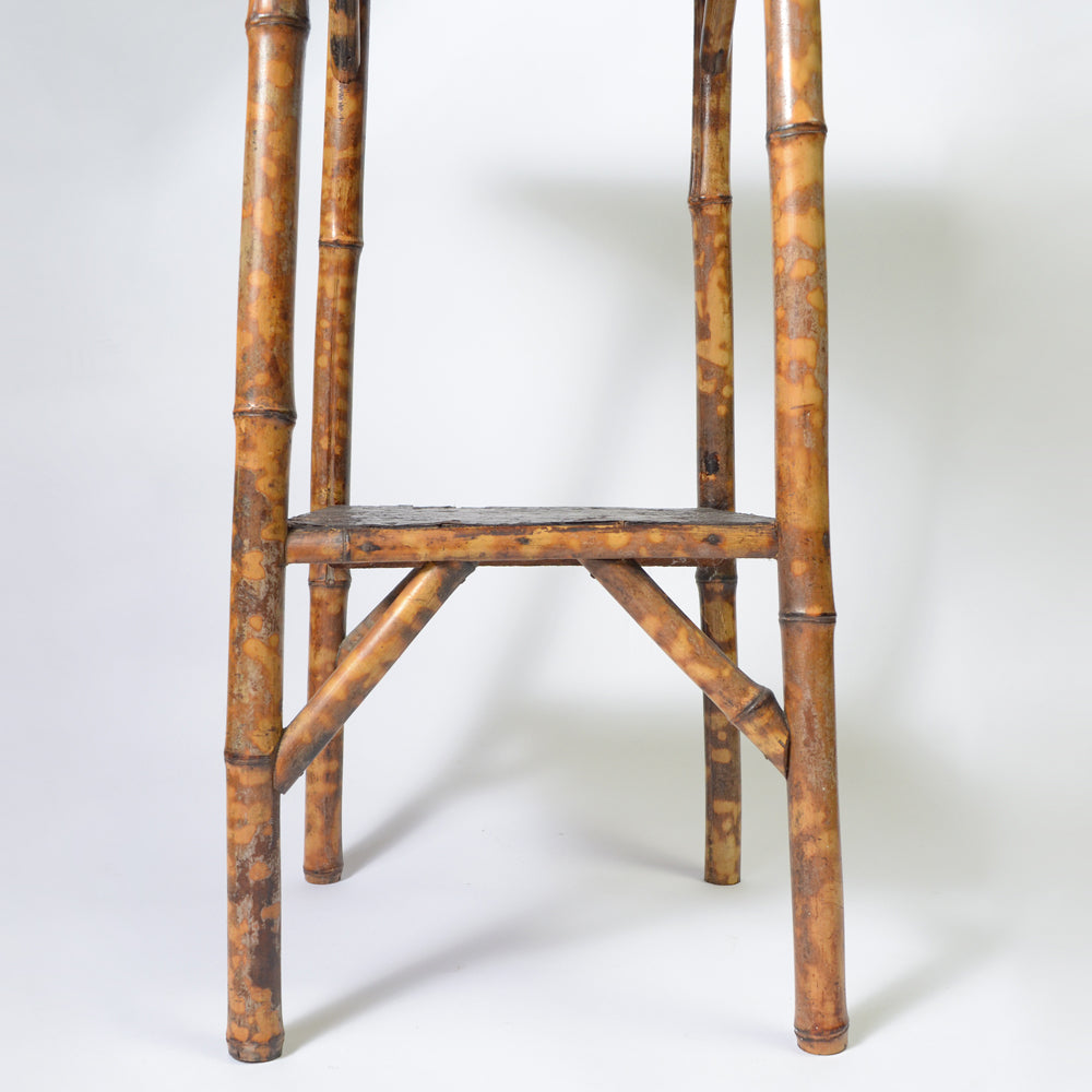 Beautiful Tiger bamboo plant Table