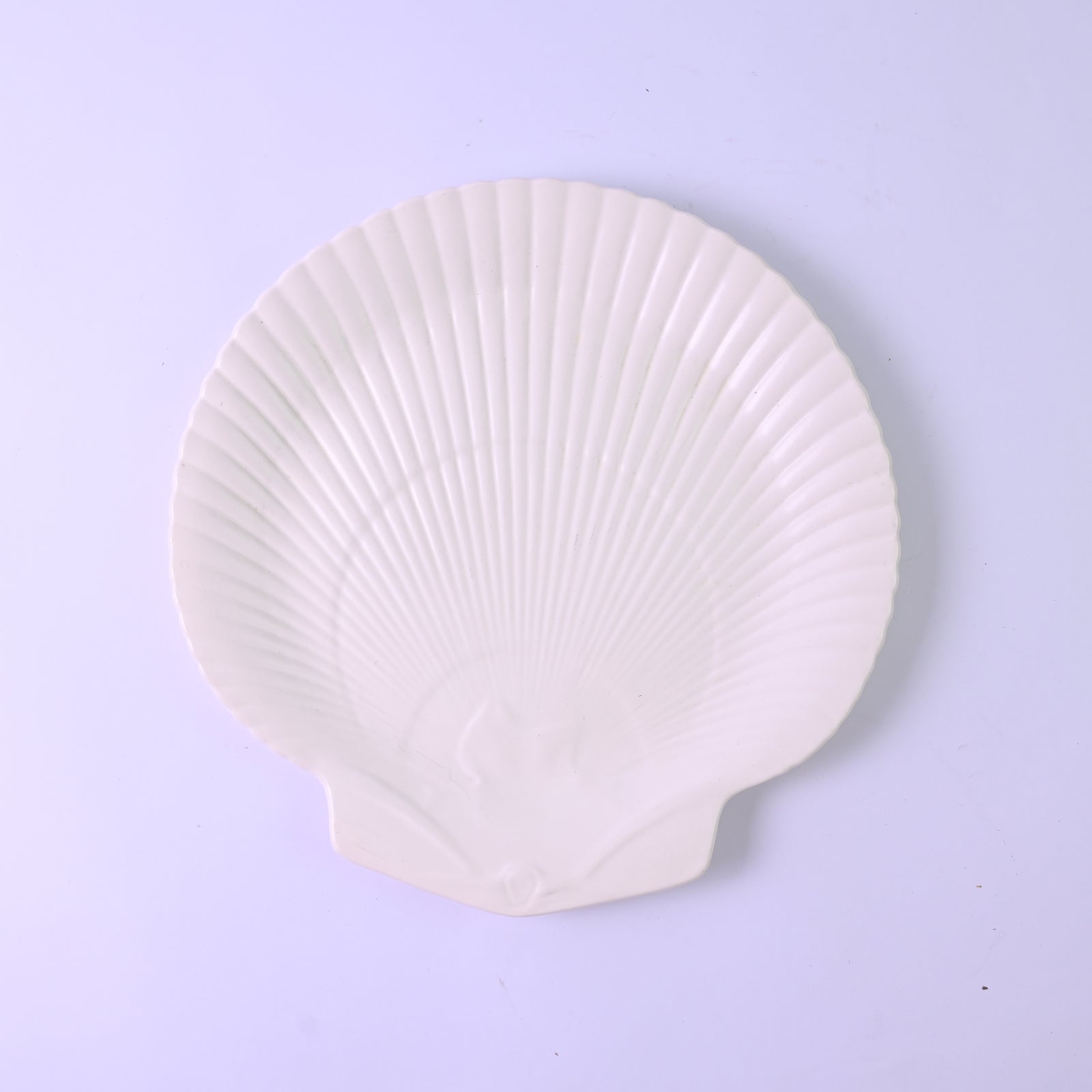 White Shell Plate