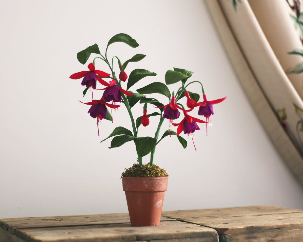 Forever Fuchsia