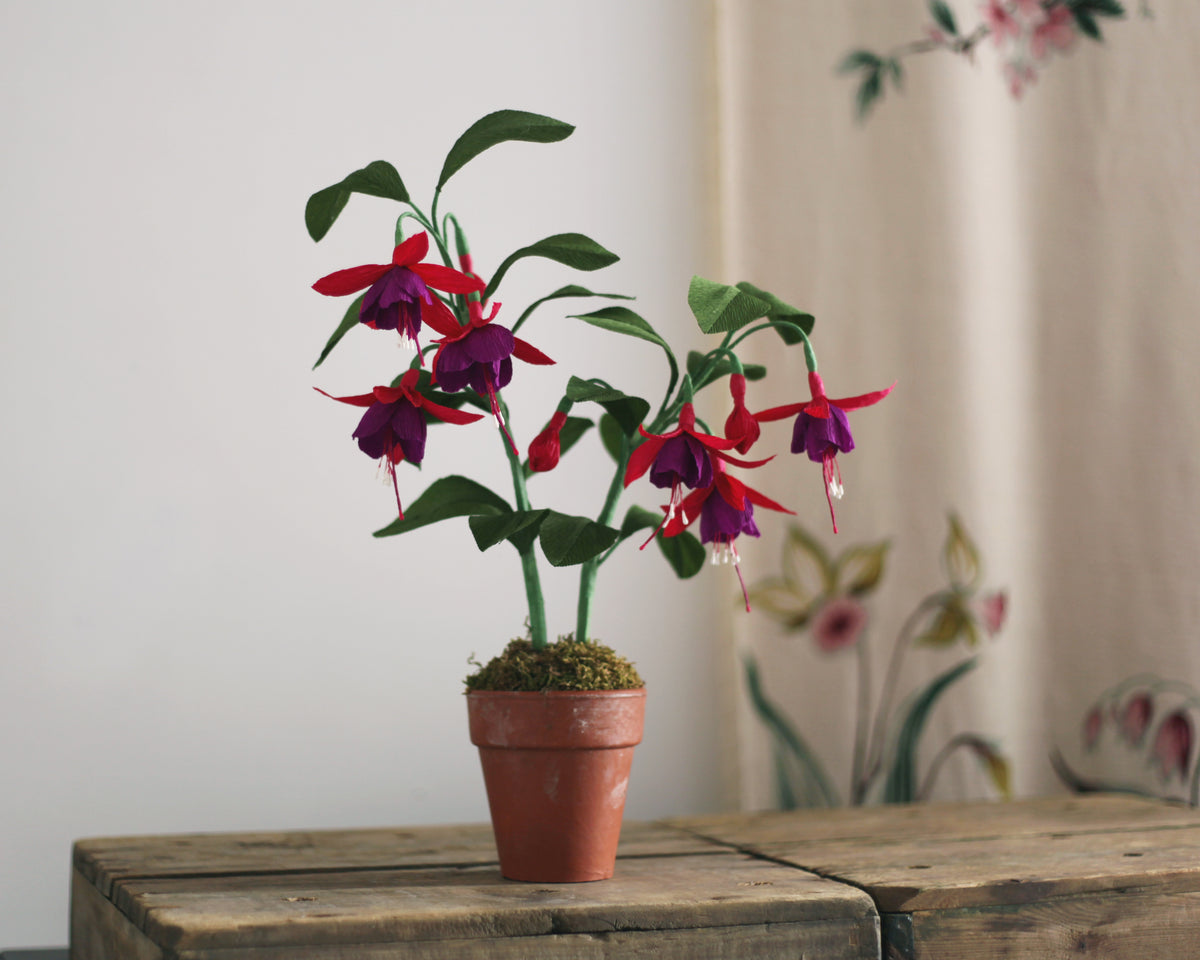 Forever Fuchsia