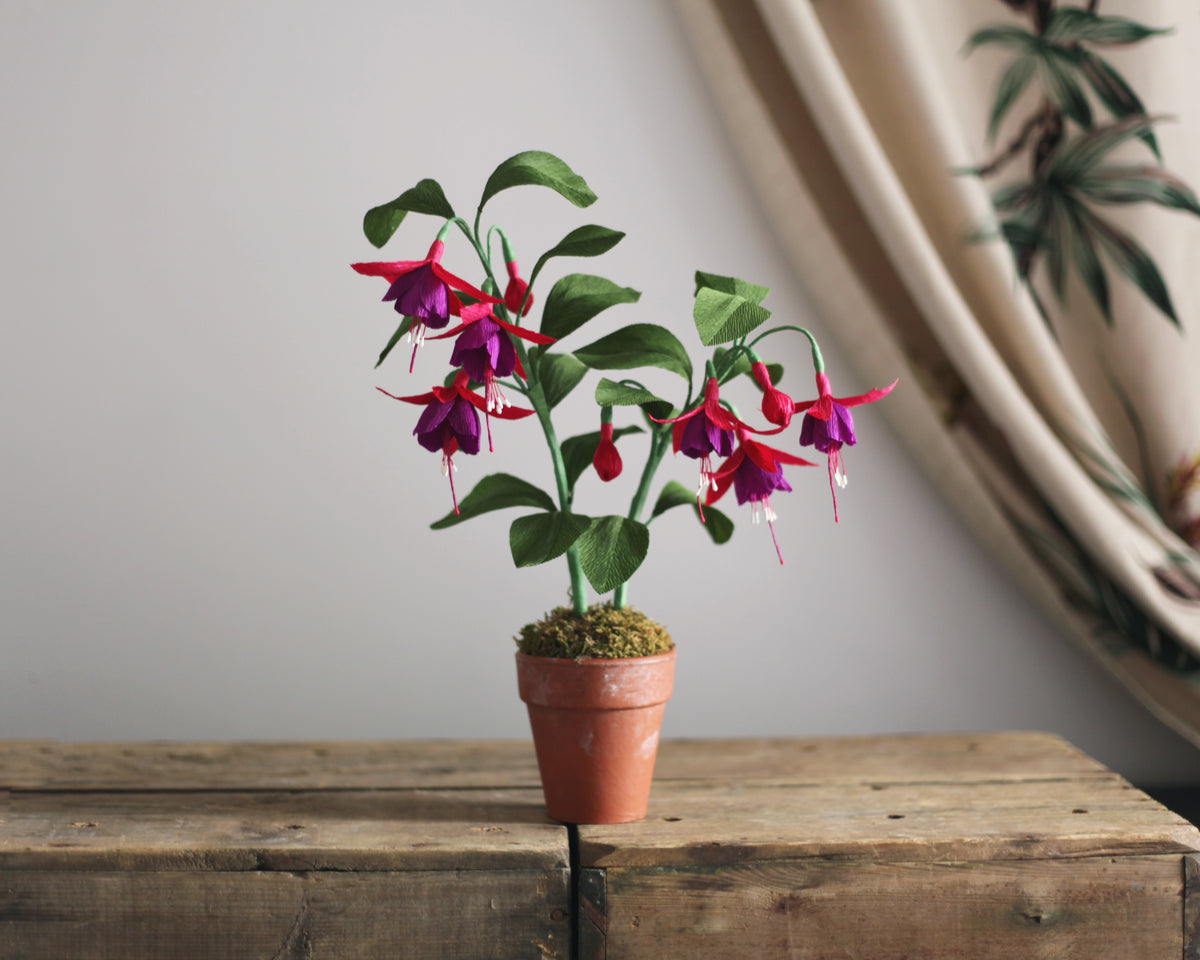 Forever Fuchsia