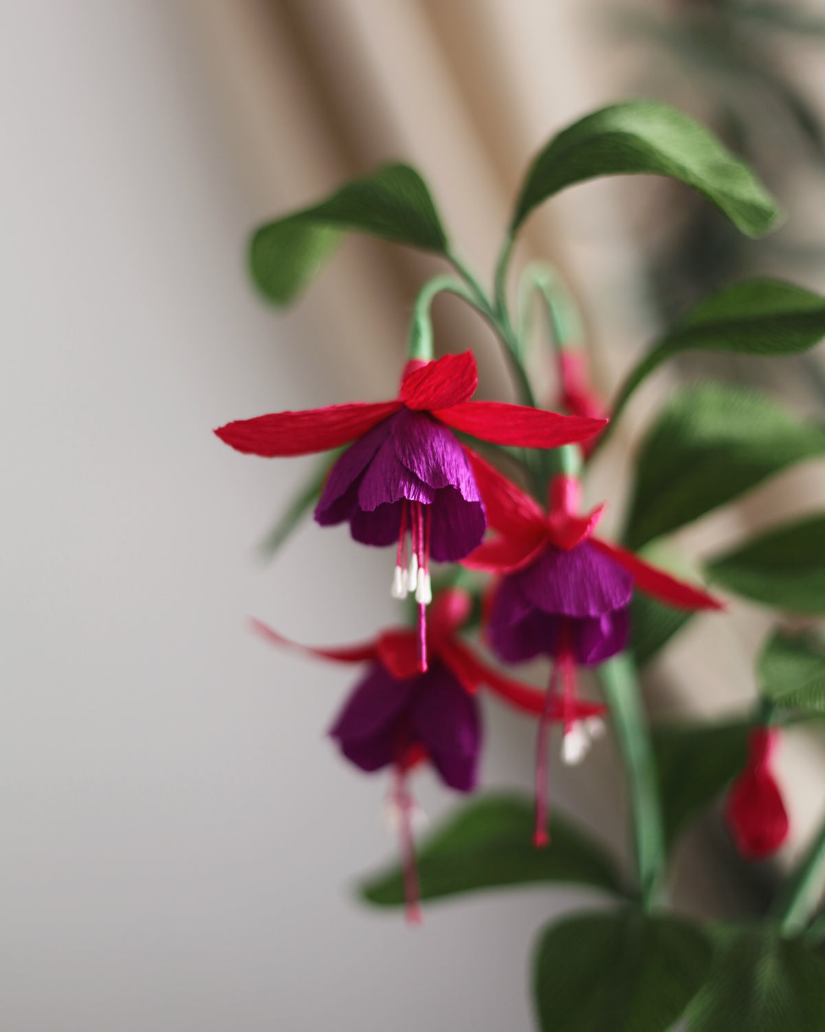 Forever Fuchsia