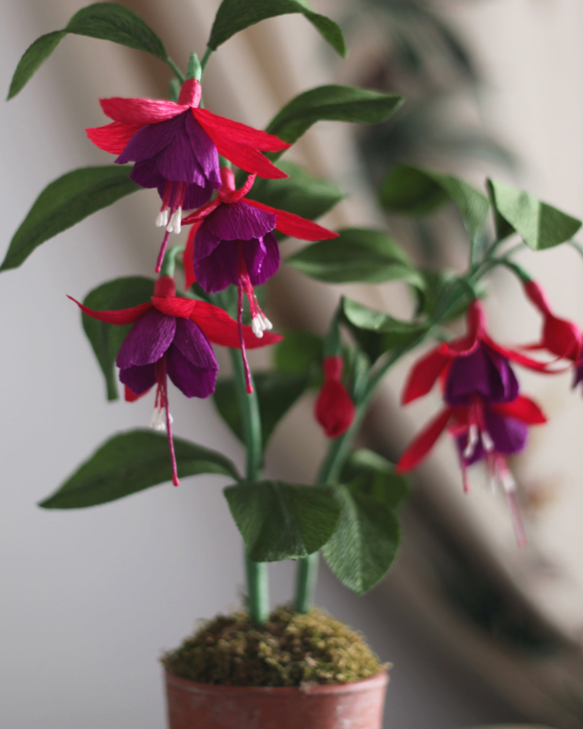 Forever Fuchsia