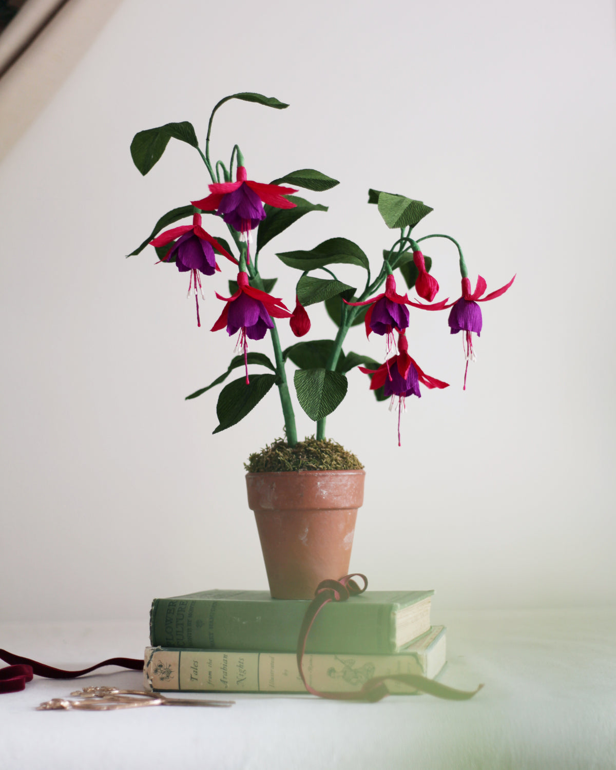 Forever Fuchsia