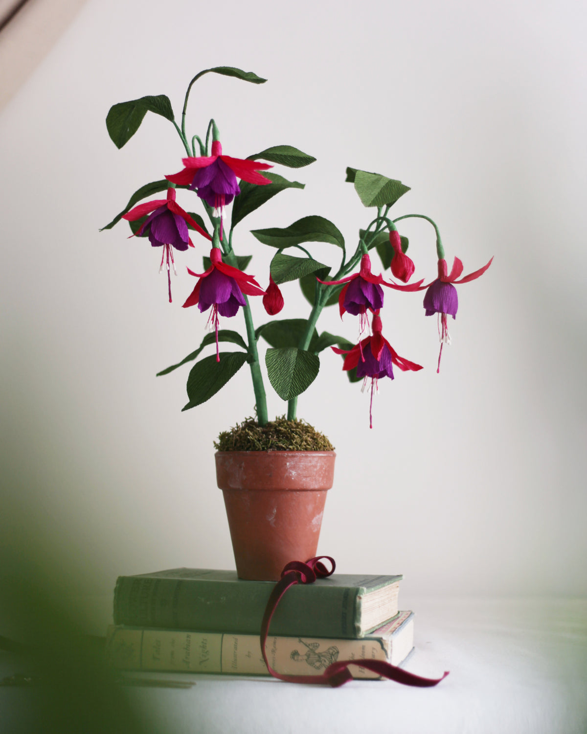 Forever Fuchsia
