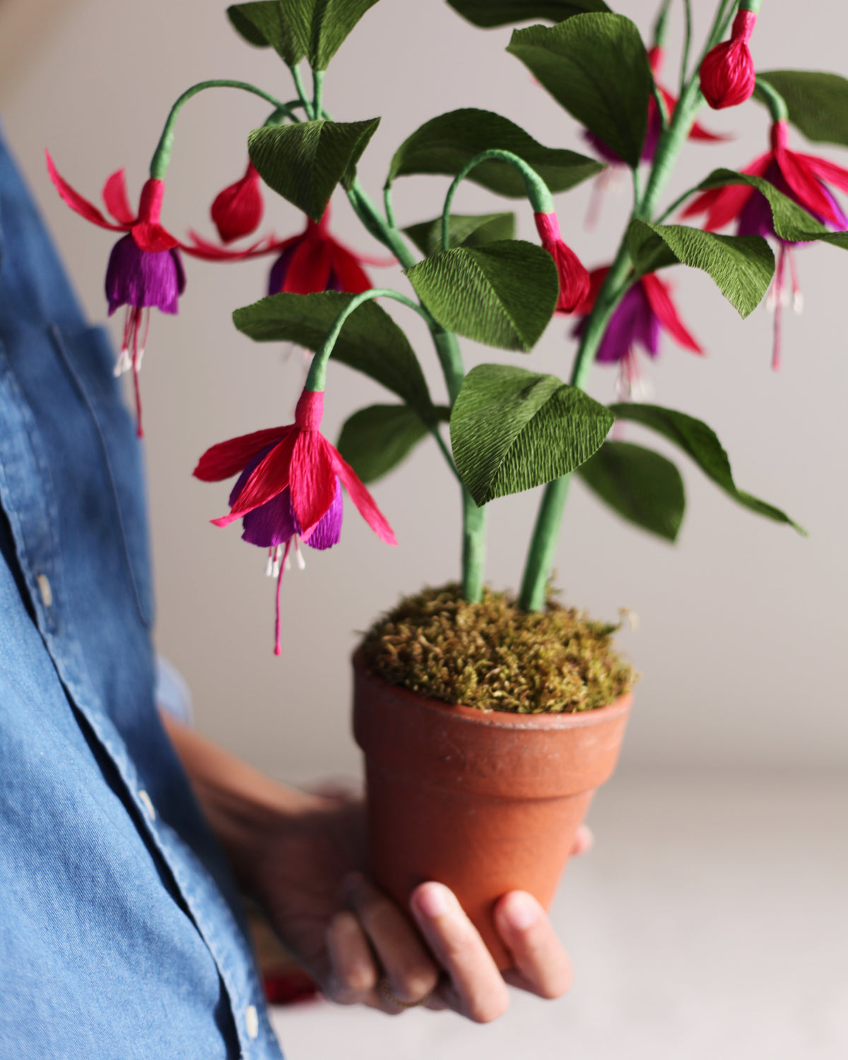 Forever Fuchsia
