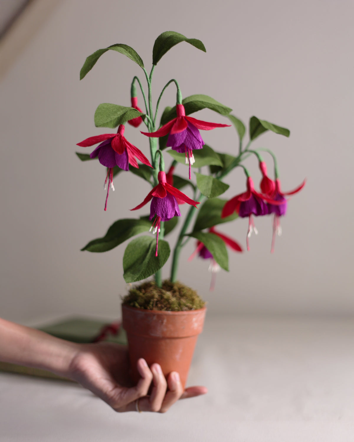 Forever Fuchsia