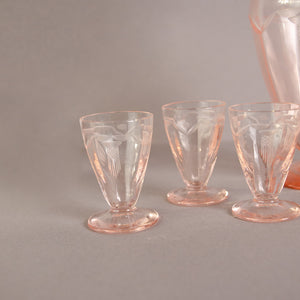 Pink Mini Shot Glasses and Decanter Set