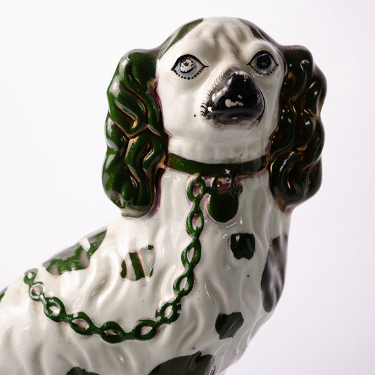 Handsome Vintage Spaniel