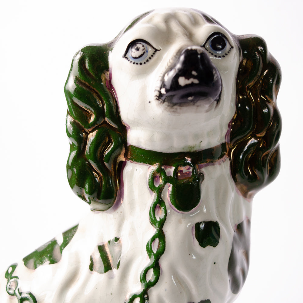 Handsome Vintage Spaniel